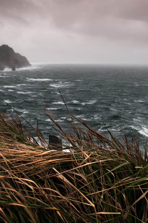 XXX decepticun:  Oregon Coast | by Tim Rains photo