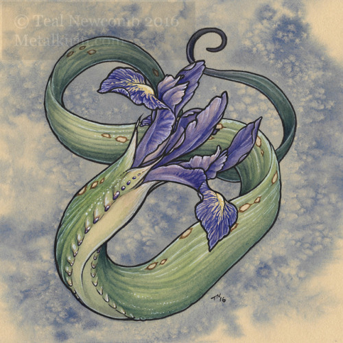 thedancingemu - Flower Creatures 5″x5″, watercolor/multimedia,...