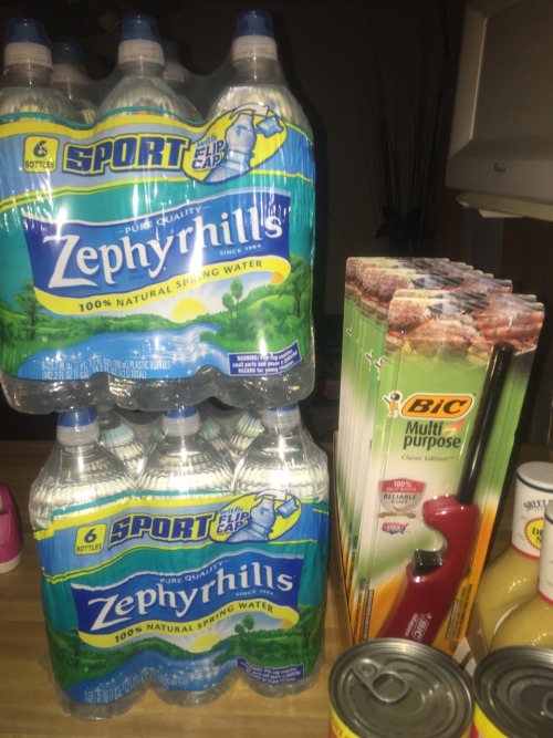 rudegyalchina:  carmdelbae:  rudegyalchina:  Took advantage of the storm stock up promotion .  Some of these items are also redeemed rain checks .  Publix basically paid Publix for my stuff   Cost Ū.72 (paid with Publix gift card ) Saved 跳.09   6
