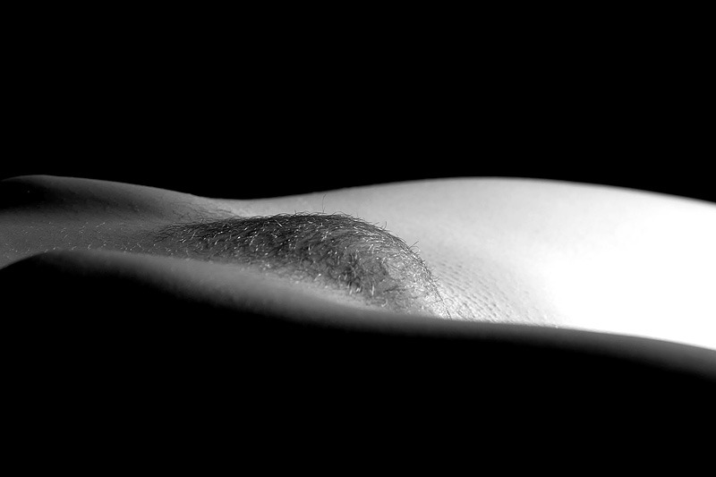 venushugellove:  Visit Venushugellove for more mons pubis  And be sure to check