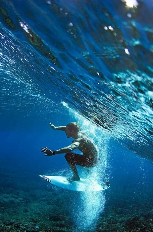 Surfs Up