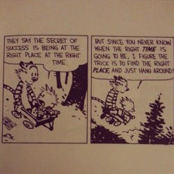 Yep, just hanging around #calvinandhobbes