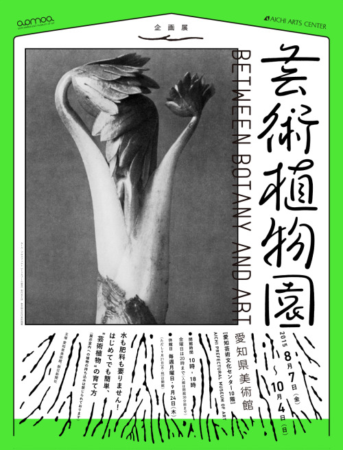 Japanese Exhibition Poster: Between Botany and Art. Mieno Ryu. 2015