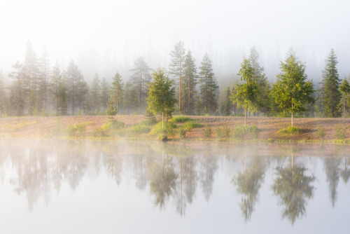 tiinatormanenphotography: Sunrise mood.  July 2017, Syöte, Finland.  by Tiina Tö