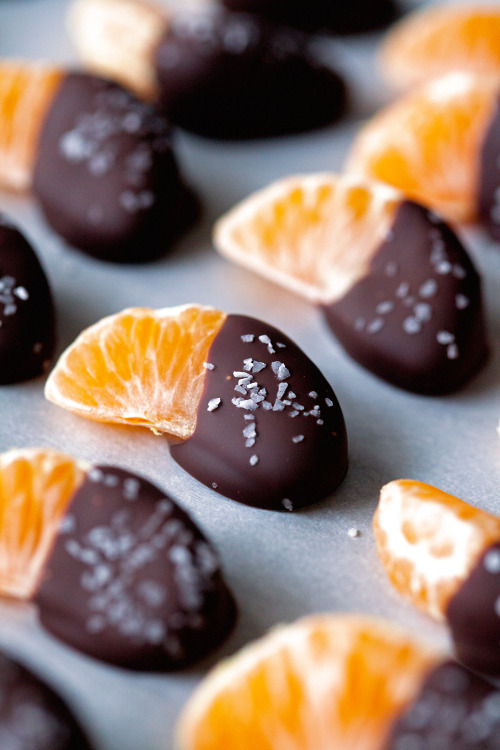 foodopia:  Salted Chocolate Dipped Mandarin Slices