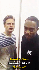 stevierogrs:  Anthony Mackie &amp; Sebastian Stan ALS Ice Bucket Challenge 