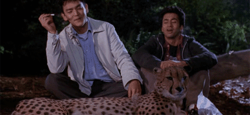 lonerstoner801:  southernstoner420:  Stoner films galore.  Just blaze it 