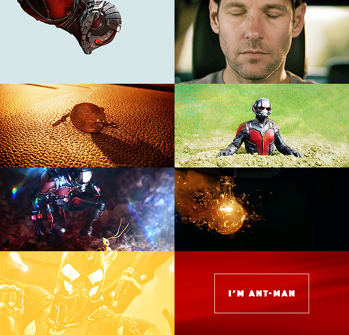scorseseglasses:“I’m Ant-Man. I know… wasn’t my idea.”
