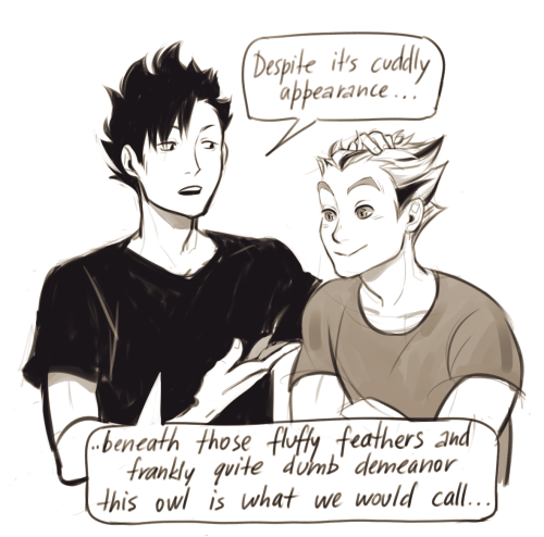 viria - because Jo and her bokuroo drawings made me very...