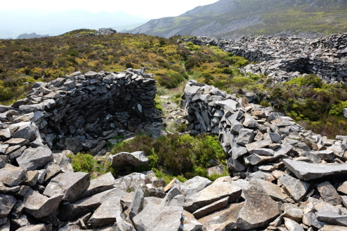 Tre’r Ceiri Iron Age Hillfort on the Llyn Peninsula of North Wales. I spent a fantastic sunny aftern