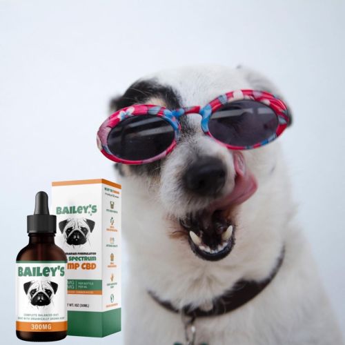 Bailey&rsquo;s veterinarian formulated full spectrum hemp CBD oil for dogs is the perfect MUST H