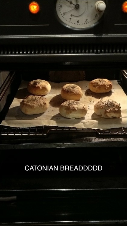 gayusoctgayvius:mateyyys I made cato’s cheese bread for dinner today Optime!