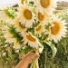fleur-aesthetic:instagram | clayfieldfarms adult photos