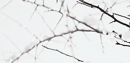 tumblr_pgvbw9eYIr1v5bo30o5_r1_400.gif