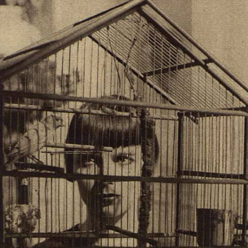 gacougnol: Louise BrooksIn French Cinémagazine  October 4, 1929 about “Prix de Beauté (Miss Europe)” Auguste Génina 1929 https://painted-face.com/