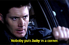winchesterandwinchester:  &ldquo;Baby&rdquo; through the seasons part 2/2