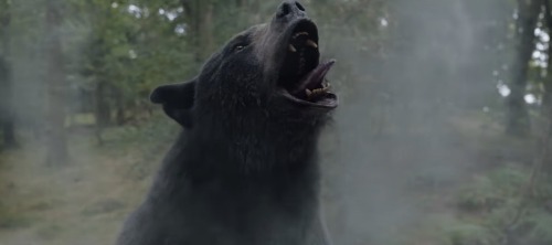 Cocaine Bear