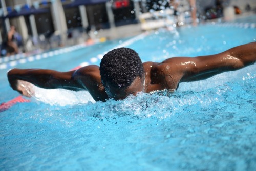 I Swim To Feel Free