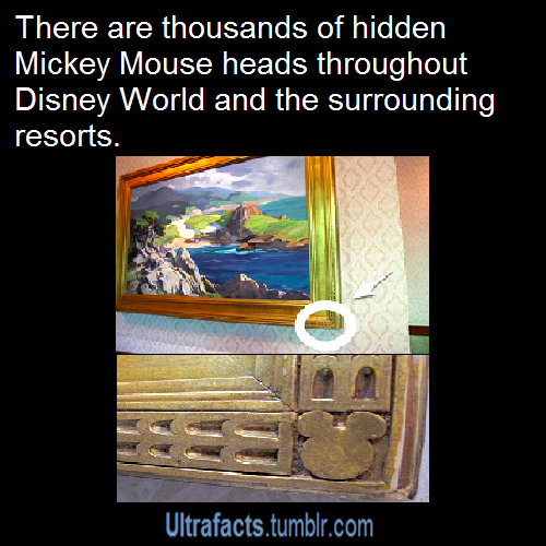 totallynotagentphilcoulson:  ultrafacts:  10 Things You Probably Didn’t Know About Disney Parks More facts on Ultrafacts!  Wait there was a time when there was MORE that one real skull on the PotC ride? 