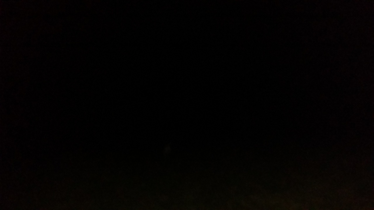 starfleetrambo:cryptid found