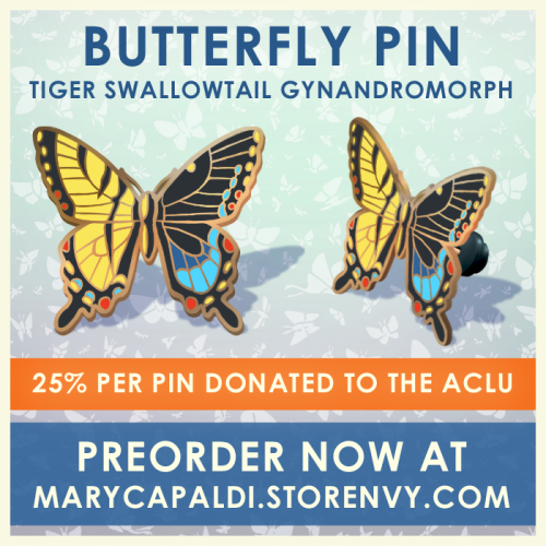 marycapaldi: NEW Tiger Swallowtail Gynandromorph Enamel Pin! 25% to be donated to the ACLU! Gynandro