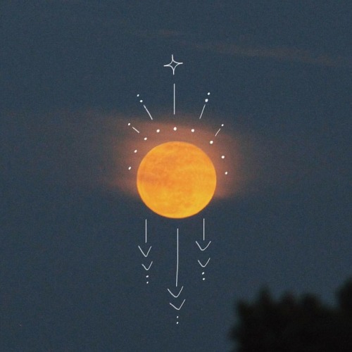 https://arichardson586.tumblr.com/post/171696108007