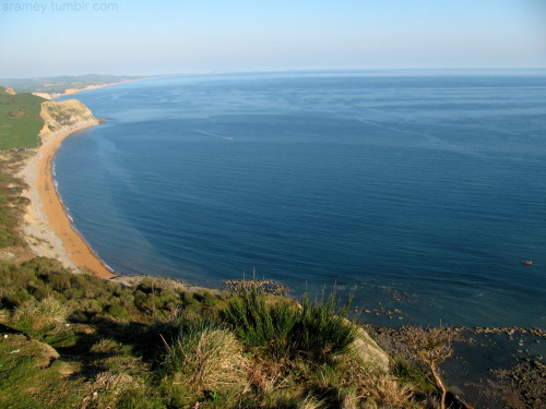 Golden Cap, Dorset, UKLength: 30-45minutesRating: EasyTime: 2.2 kmShort walk through forests overflo