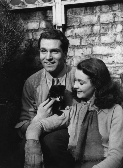 Sex fuckyesoldhollywood:  Vivien Leigh and Laurence pictures
