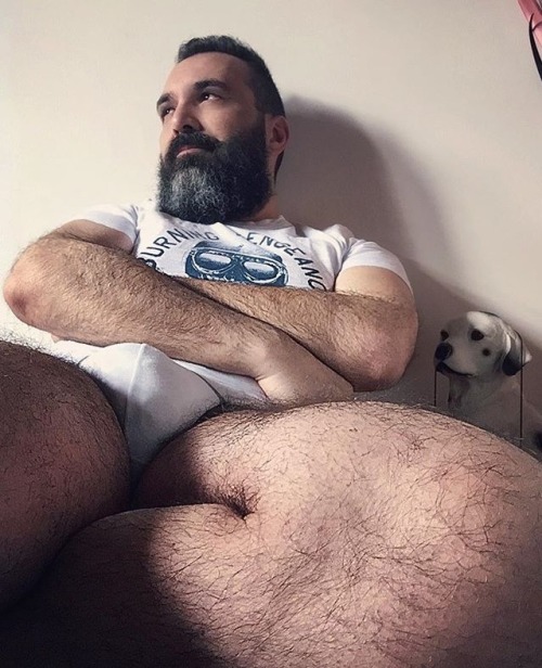 The bear, the bulge and the dog