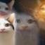 mypuppetposts