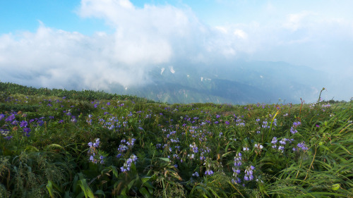 iide mountains,Japan 飯豊山 by skm_390