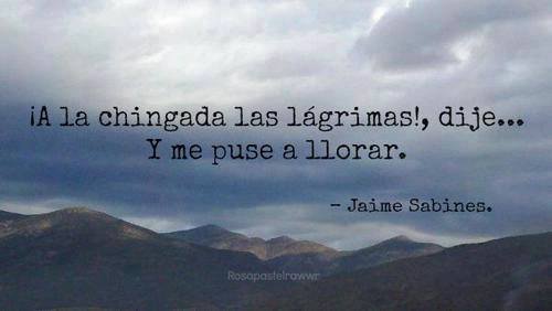 paola1696:  Y cuando termine de llorar me dije “Soy un imbécil por llorar por