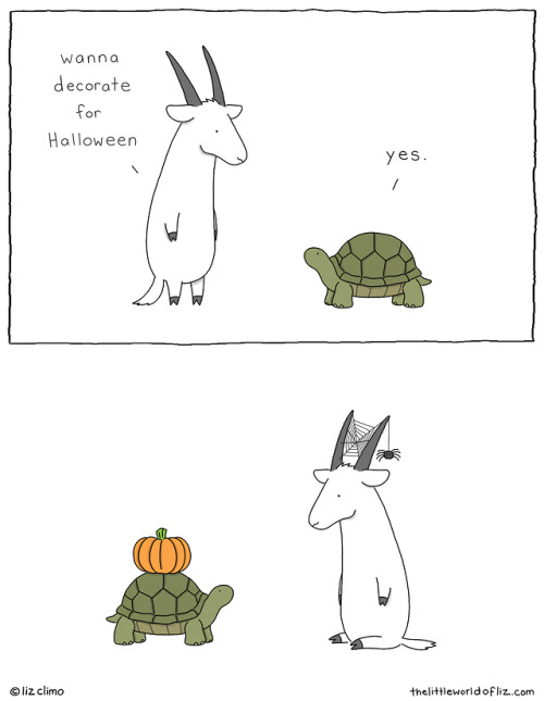 heidiroo