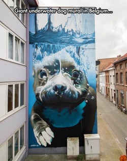 lolshtus:  Epic Mural In Belgium 