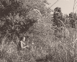 zuzzolek:  The Walking Dead AlphabetP: pain 