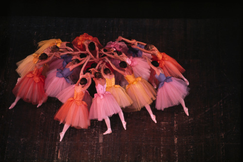 Ballet dancers in colorful costume practice a scene in The Nutcracker in San Diego, California, July