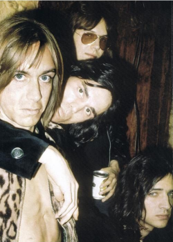 mrszurlu:  Iggy Pop and The Stooges photographed