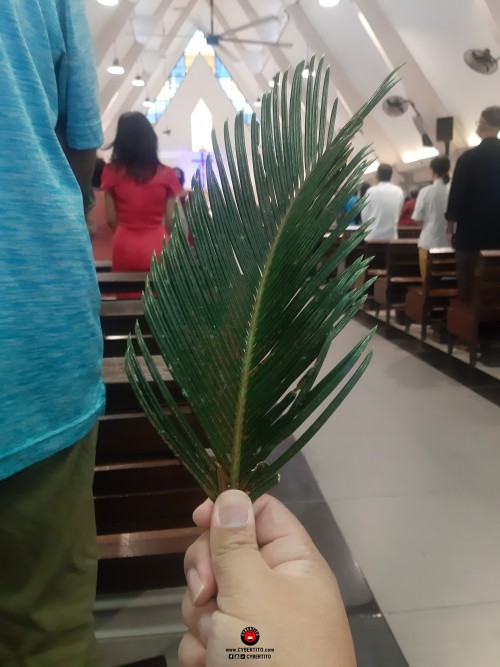 Palm Sunday, the start of Holy Week, at The Church of Our Lady…
