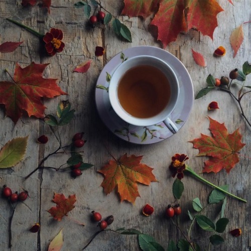 myend-ismybeginning:Source.
