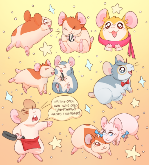 monsterkitties:hamsters! :3