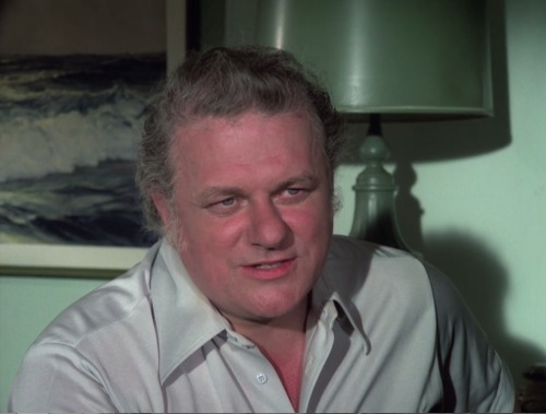 Hawaii Five-O (TV Series) - S8/E9 ’Retire in Sunny Hawaii… Forever’ (1975)Charles Durning as 