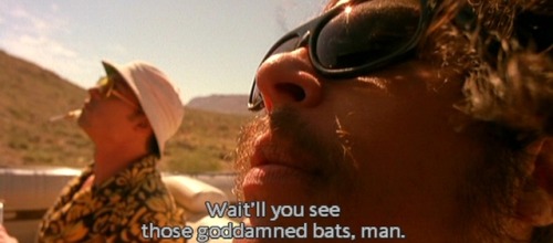 Fear and Loathing in Las Vegas