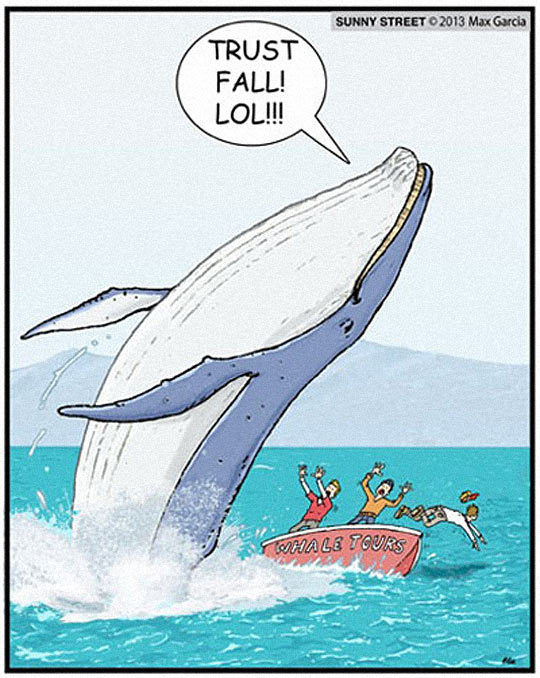 thingsmakemelaughoutloud:  Catch Me Guys- Funny and Hilarious -