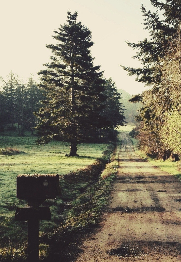 bluepueblo:  Back Country, Victoria, British Columbia photo via grace 