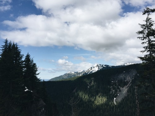 My parents and their friends wanted to go to Mount Rainier, so I tagged along with them. It was a go