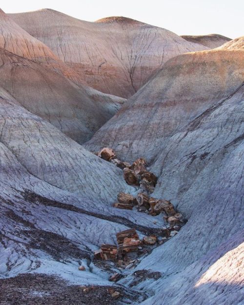 The painted hills of Blue Mesa badlands and petrified wood from Petrified Forest National Park #badl