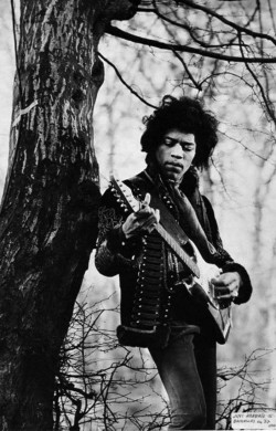 soundsof71:  Jimi, getting back to the garden