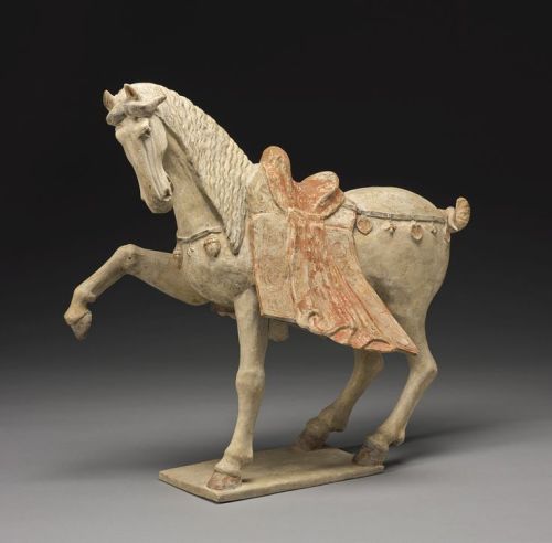 A large painted pottery figure of a prancing horse, Tang dynasty, china