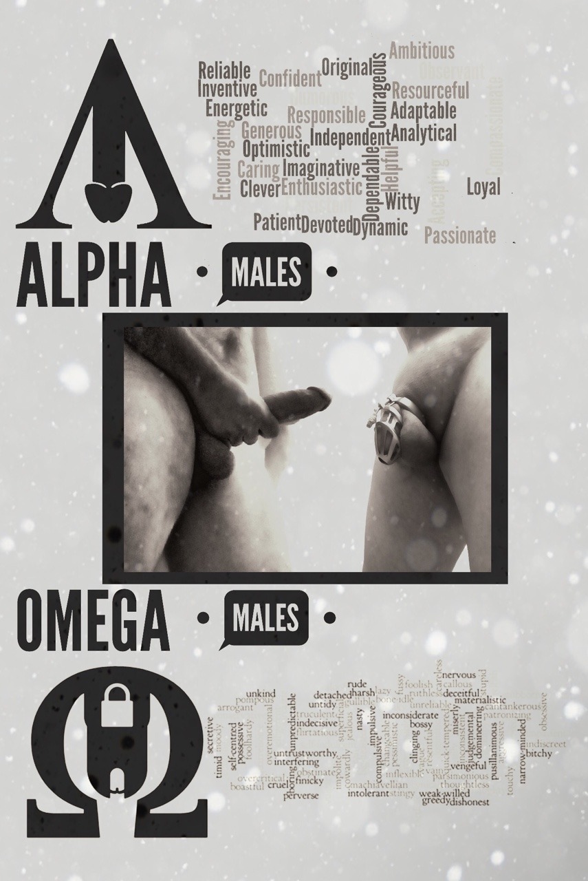This is The Guild of Men in Chastity