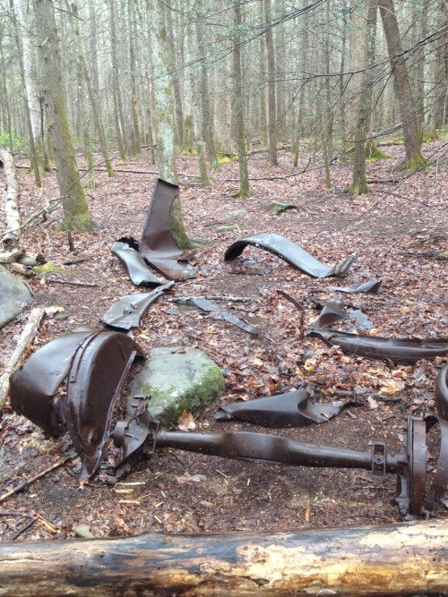 thetalkingbreads:Porter’s Creek Trail